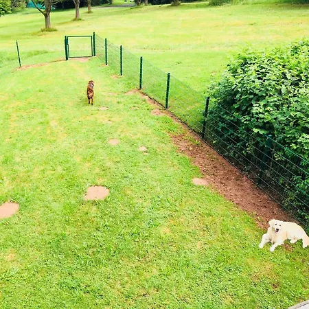 Charly In Kirchheim Seepark By Interhome