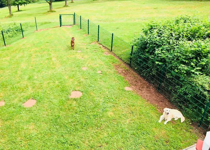 Charly In Kirchheim Seepark By Interhome